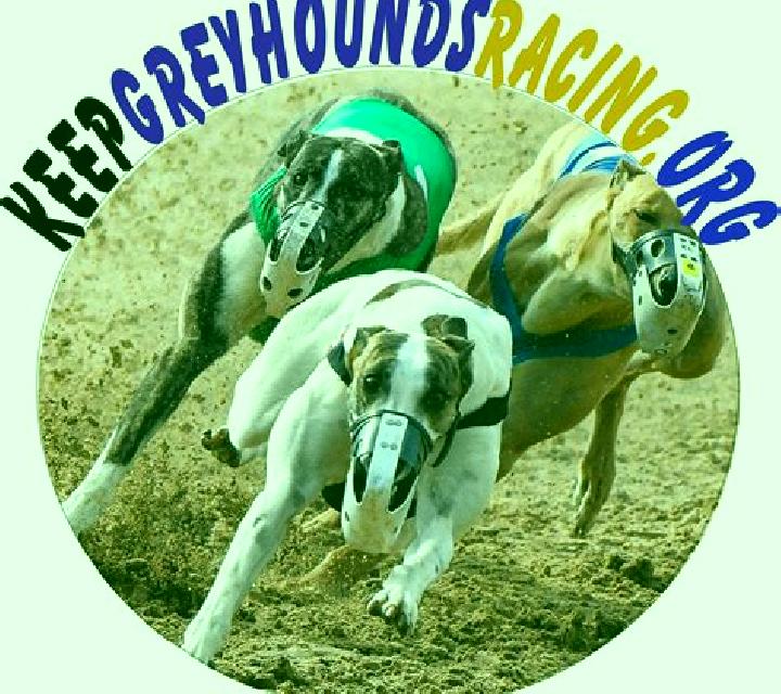 Greyhounds Streak online slot