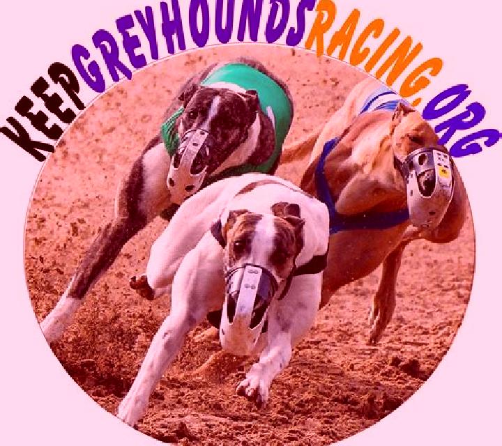 Greyhounds Streak slot