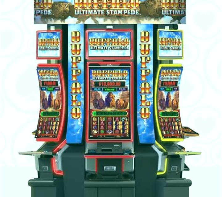 Grizzly Stampede slot machine