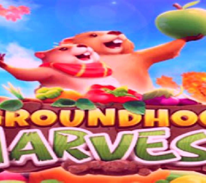 Groundhog Harvest online slot