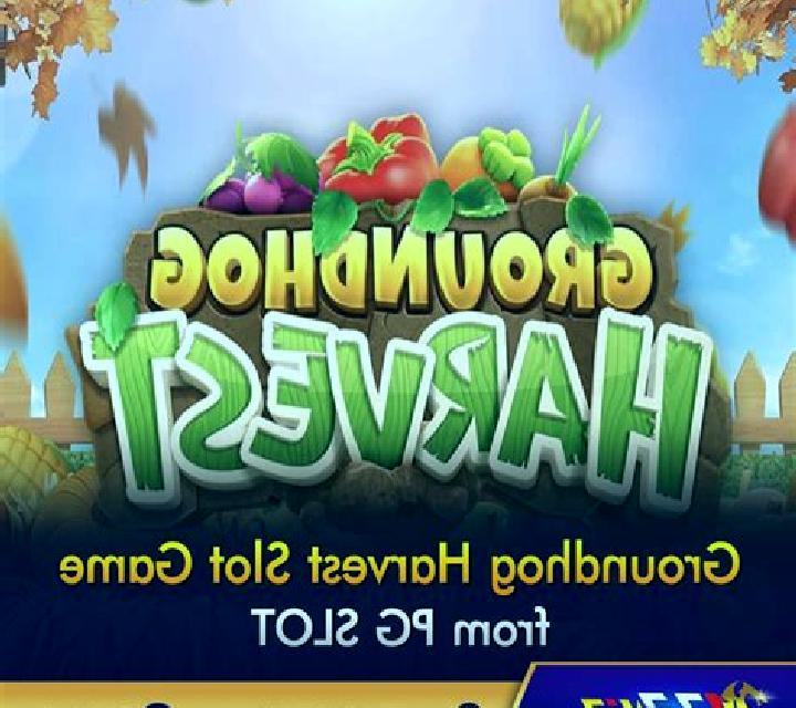 Groundhog Harvest slot game