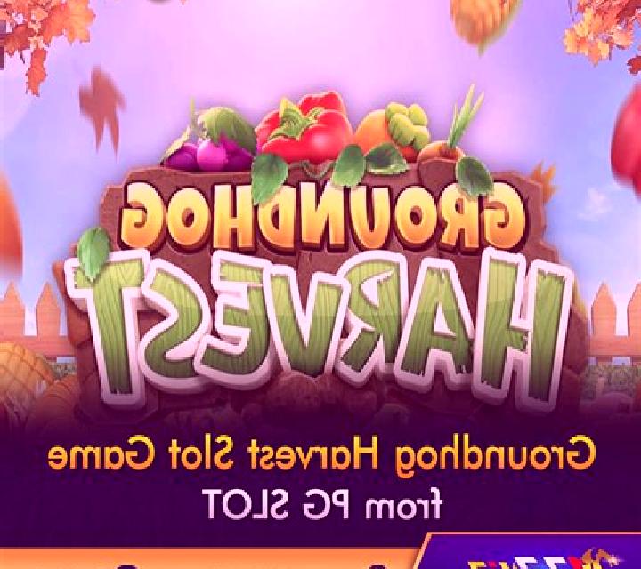 Groundhog Harvest slot