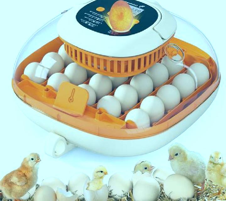 Happy Hatching slot game