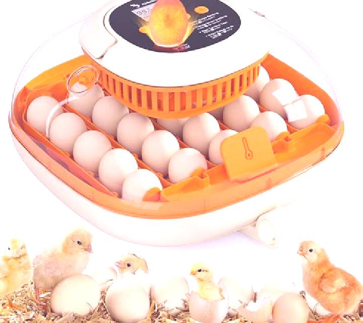 Happy Hatching slot machine