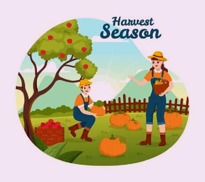 Harvest Season slot game