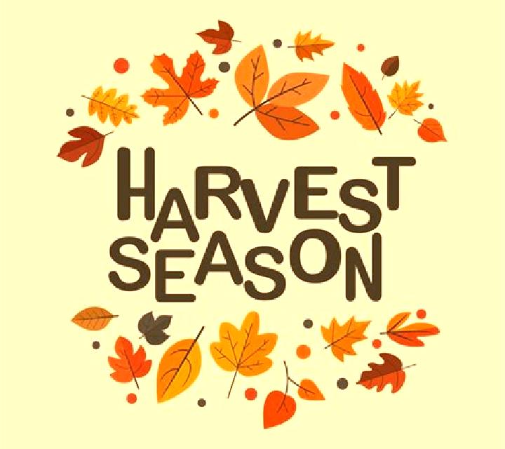 Harvest Season slot
