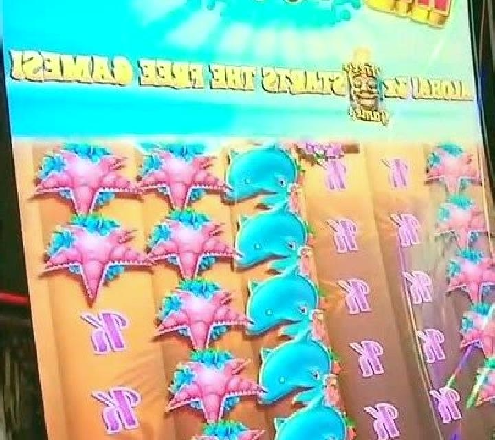 Hawaii Surf slot machine