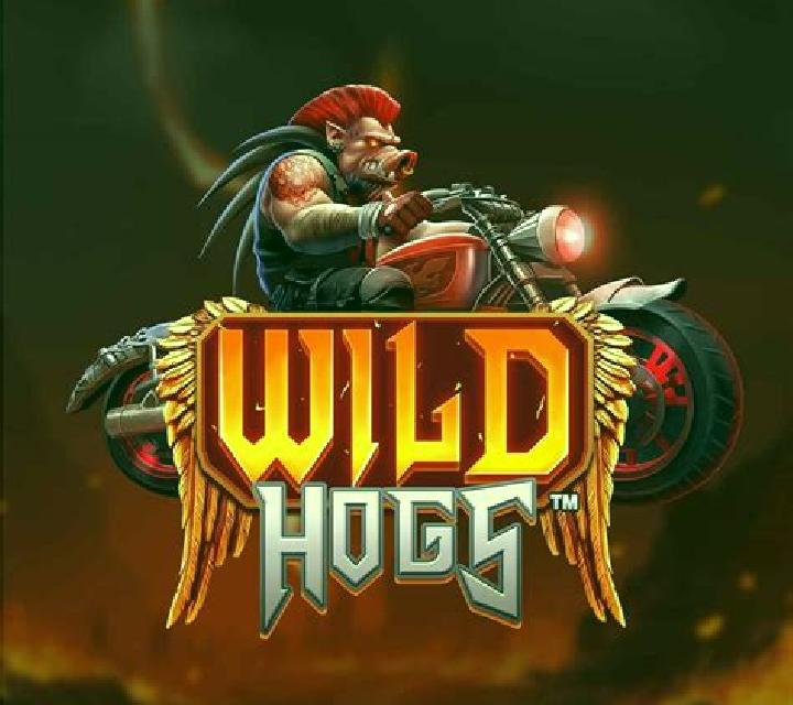 Hell s Hogs slot machine