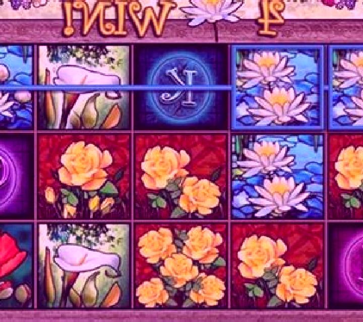 Hex Bloom slot game