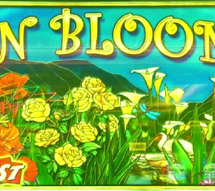 Hex Bloom slot machine