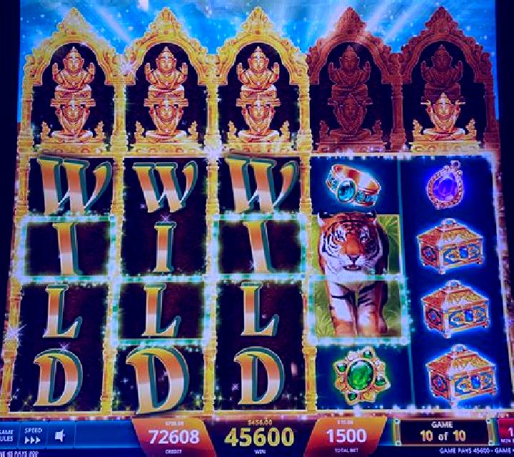 Hit the Jungle slot machine