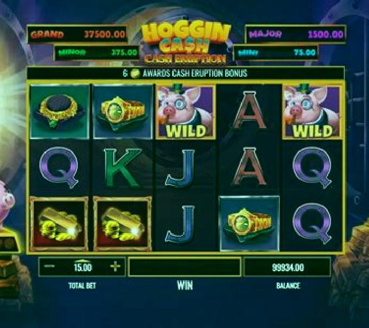 Hoggin Gold slot