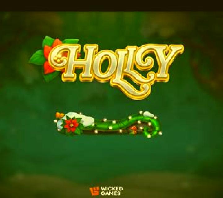 Holly Molly Hole slot game