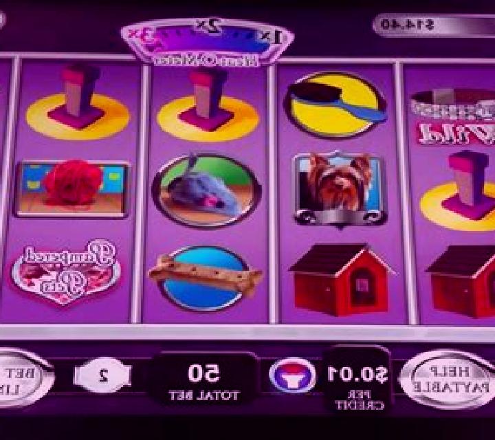 Hollywood Pets slot machine