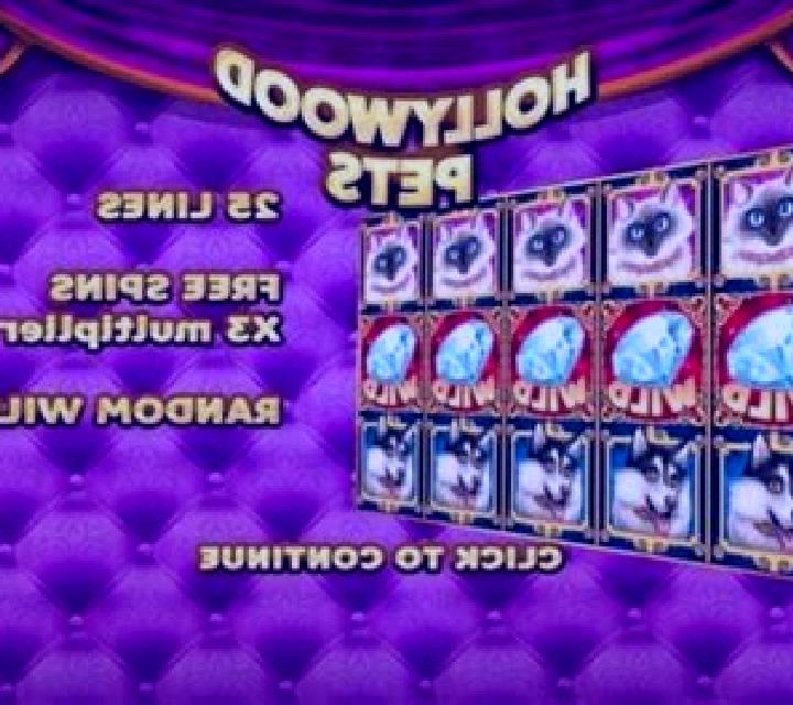 Hollywood Pets slot
