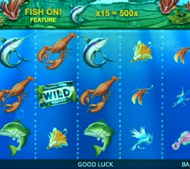 Hooked slot game