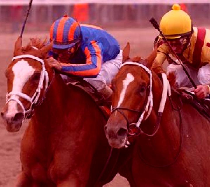 Horse Race Riches slot