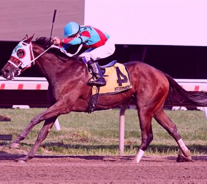 Horses Streak slot