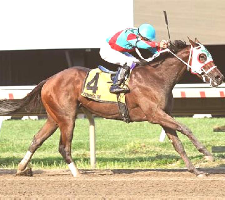 Horses Streak - The Jumps slot