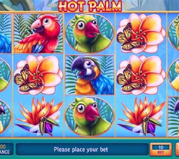 Hot Palm slot