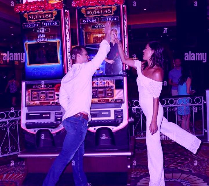 Hottest Bachelor slot