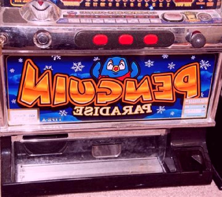 Hottie s Paradise slot machine