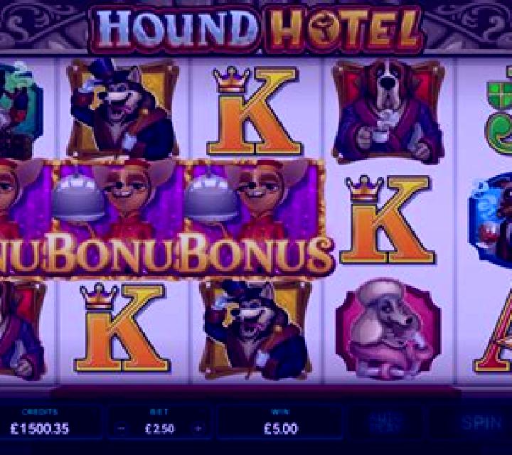 Hound Hotel slot game
