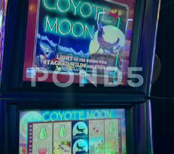 Howl at the Moon online slot
