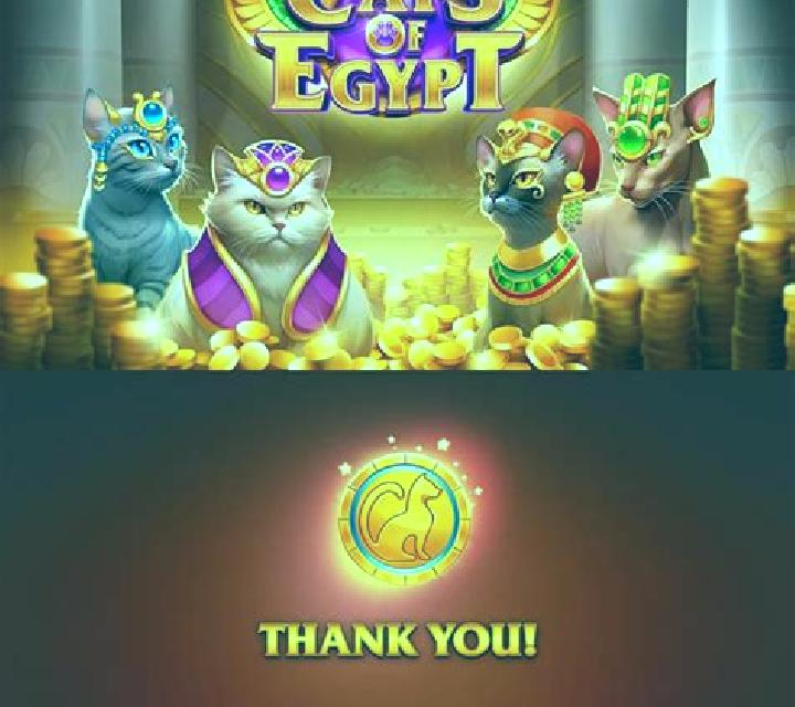 Hungry Cats slot game