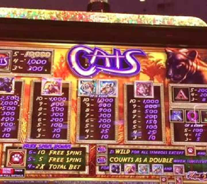 Hungry Cats slot machine