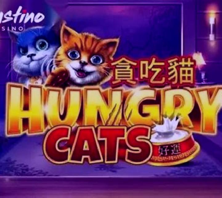 Hungry Cats slot