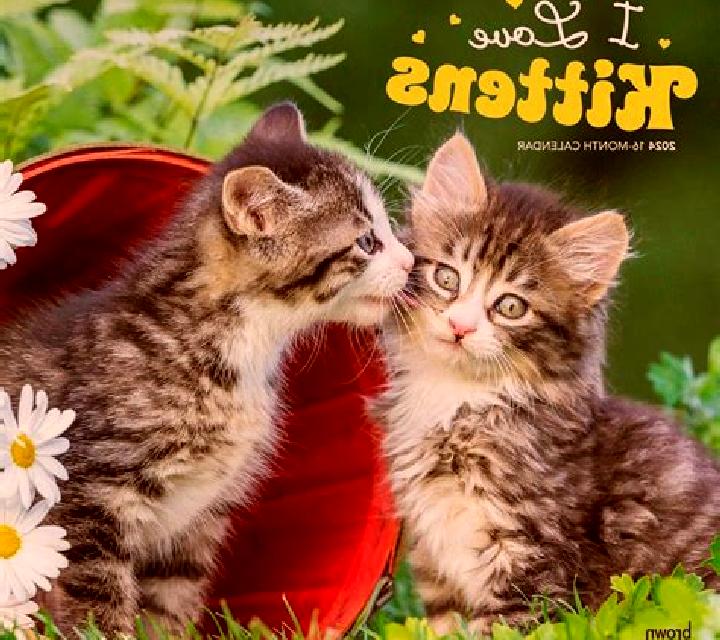 I Love Kittens online slot