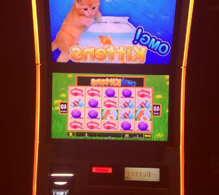I Love Kittens slot machine