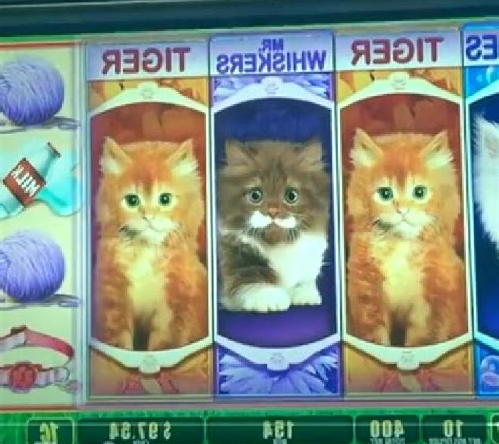 I Love Kittens slot