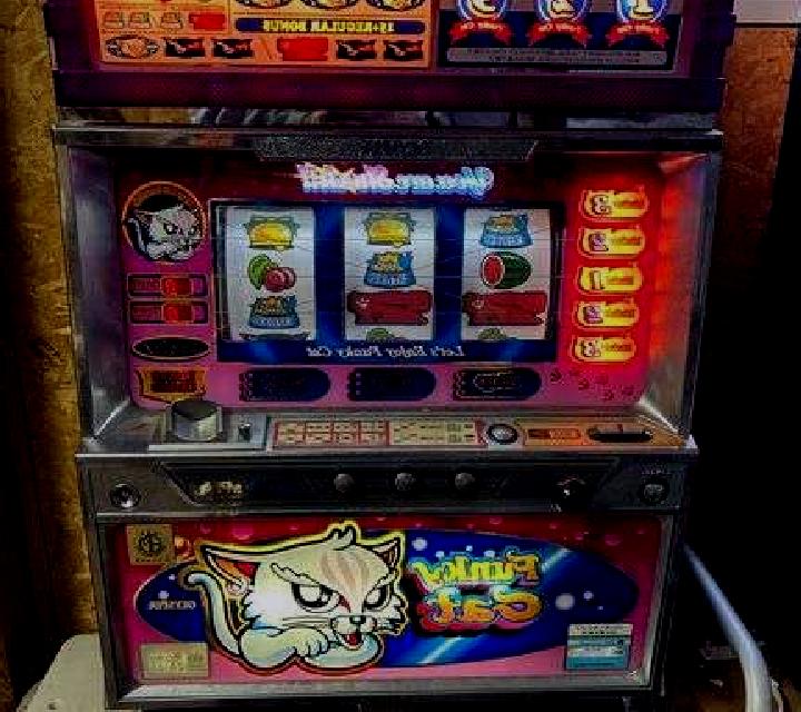 I m A Cat slot machine