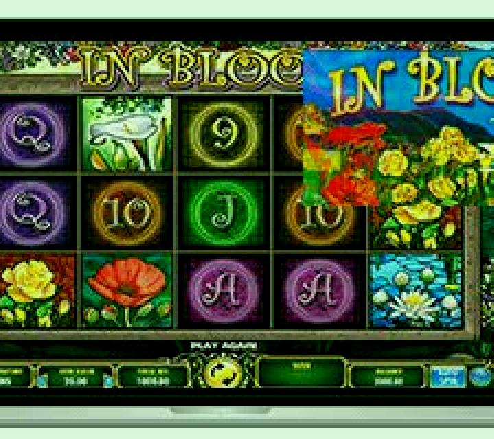 In Bloom online slot