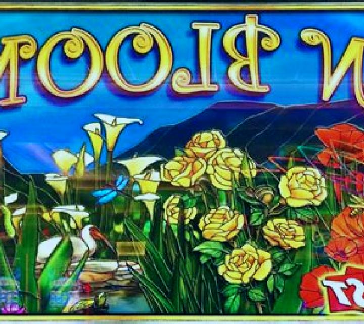 In Bloom slot game