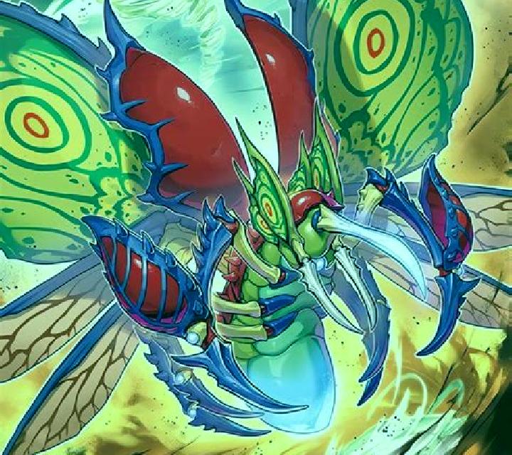 Insect Master online slot