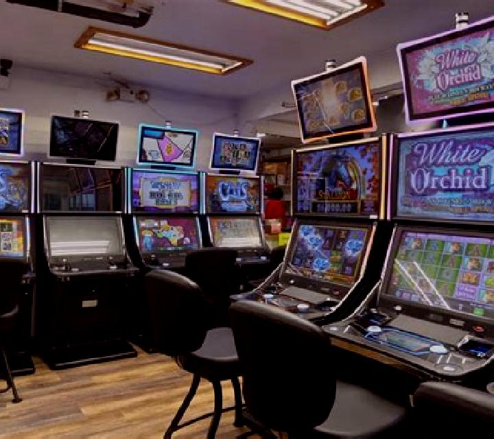 Instant Bingo (G.Games) online slot