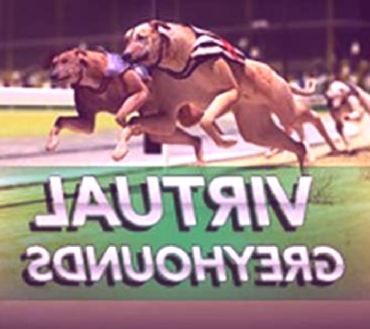 Instant Virtual Greyhounds online slot