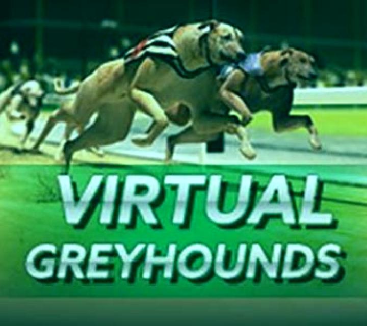Instant Virtual Greyhounds slot game