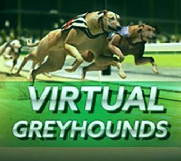 Instant Virtual Greyhounds slot machine