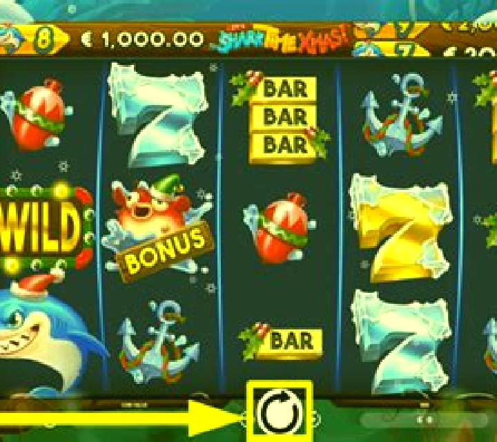 It s Shark Time Xmas slot