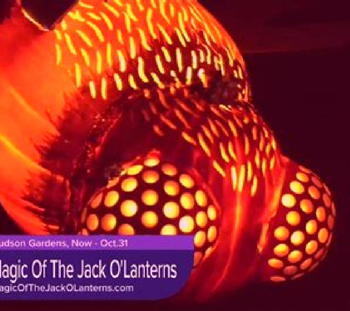 Jack o Lantern s Mystery Mirrors slot machine