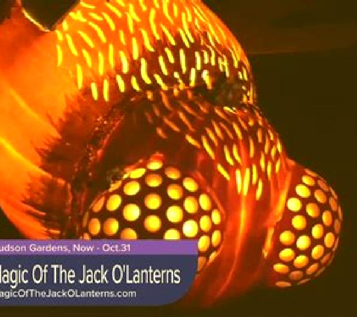 Jack o Lantern s Mystery Mirrors slot