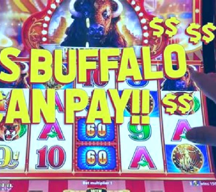 Jackpot Carnival Buffalo slot machine