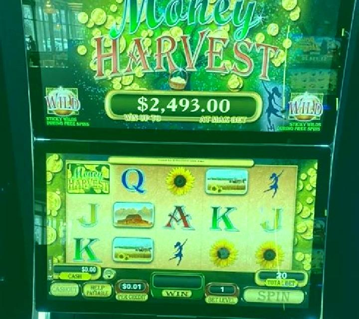 Jackpot Harvest slot machine