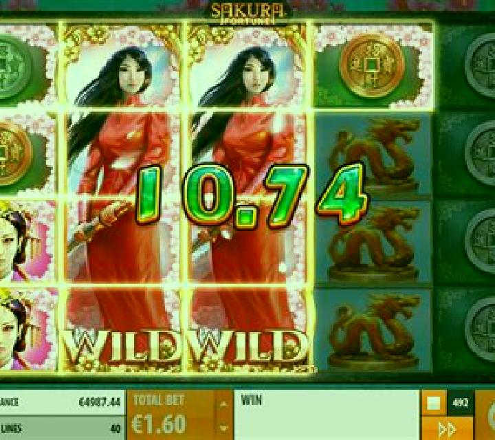 Japan Fortune slot game