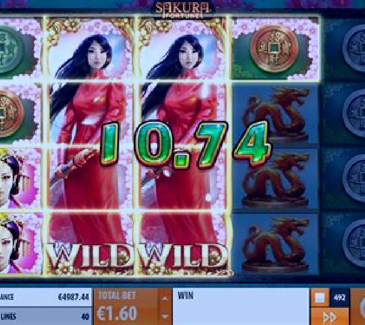 Japan Fortune slot