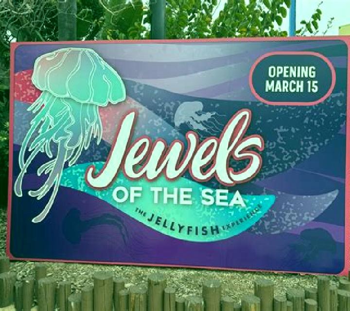 Jewels of the sea slot game